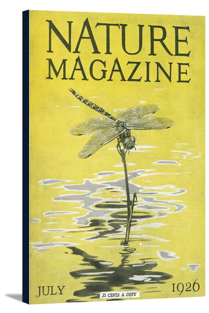 30117_6c3a415d-311d-475b-a574-2809b3774876